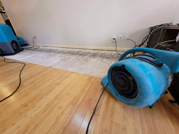 Professional Burst Pipe Water Damage technician working in Diablo, CA